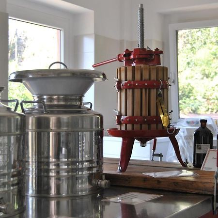Ca' Dei Fazzilisti Bed & Breakfast Mori Dış mekan fotoğraf