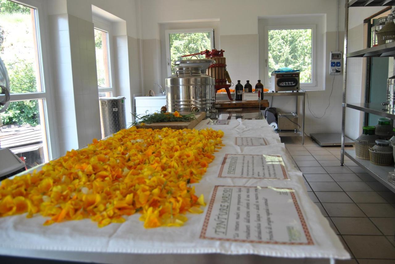 Ca' Dei Fazzilisti Bed & Breakfast Mori Dış mekan fotoğraf